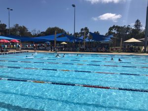 St Dominic's Faction Swimming Carnival Information and Online Event Selection Form