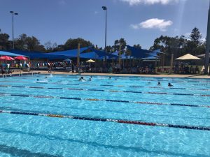 St Dominic's Faction Swimming Carnival Information and Online Event Selection Form