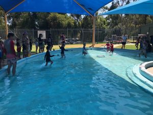 St Dominic's Junior Tabloid Swimming Carnival Information and Volunteer Form