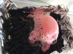 What have the students been exploring in the St Dominic's STEM room recently?