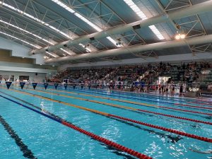 2019 Interschool Swimming Carnival - We are on the way up!