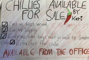 Gardening Club News - Chillies, mint and basil for sale!