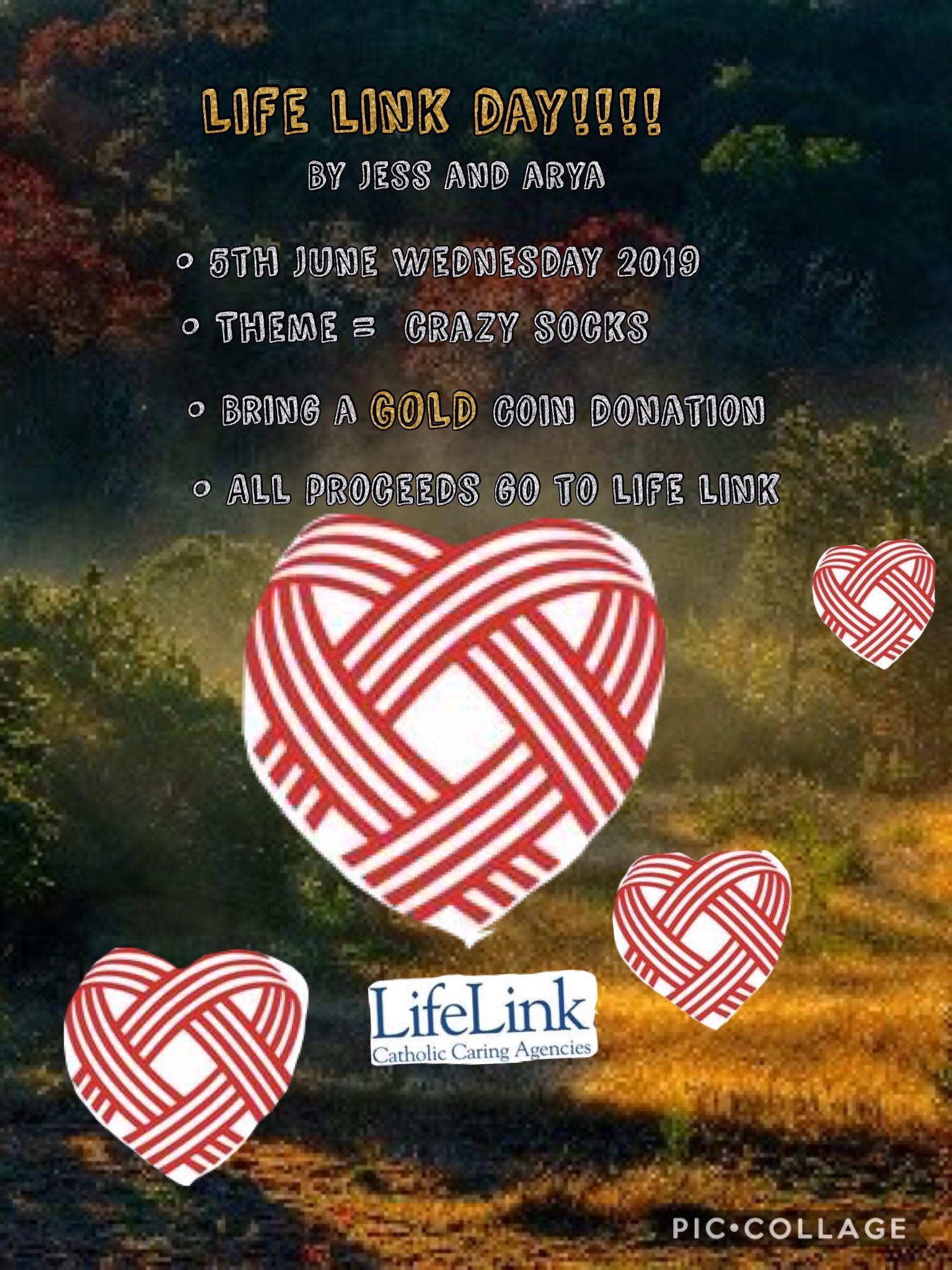 Mini Vinnies News - LifeLink Day/ Winter Appeal