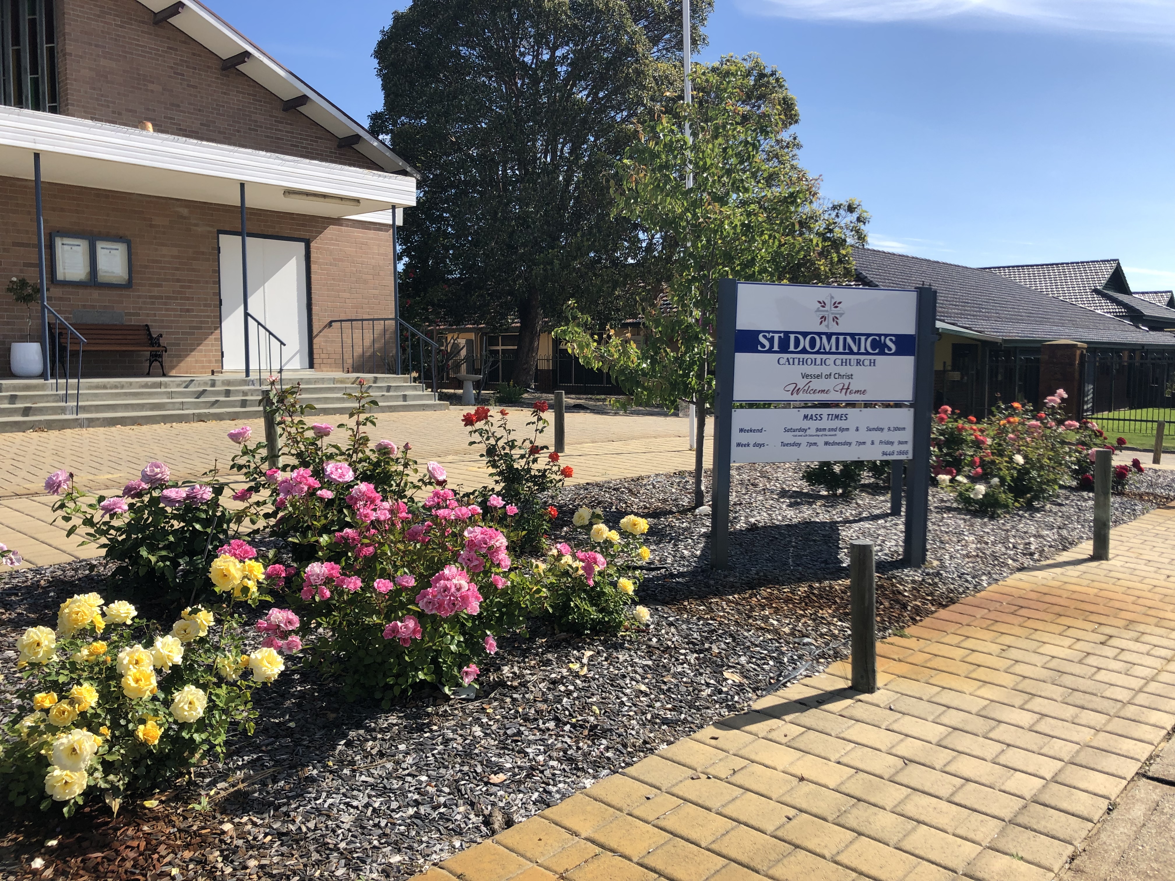 The Church roses are in full bloom!