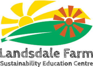 Year 1 Excursion to Landsdale Farm