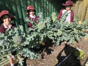 Gardening Club News