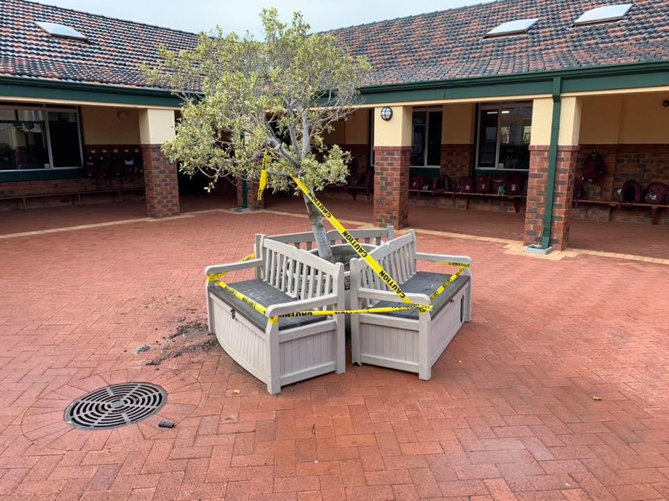 Courtyard Pot Damaged in Recent Storms