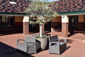 Courtyard Pot Damaged in Recent Storms