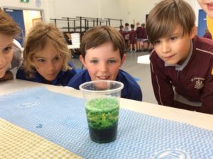 Science Week Fun at St Dominic's
