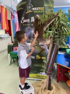 Pre Primary West Oz Wildlife Incursion