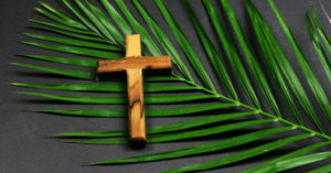 Palm Sunday Reflection - The Start of Holy Week