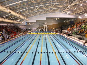 Year 3 to 6 Interschool Swimming Carnival Reminders