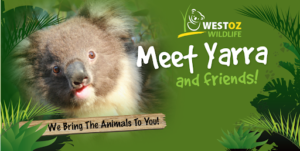 Kindy to Year 4 West Oz Wildlife Incursion 