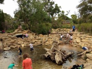 Pre Primary and Year 2 Kings Park Excursion 