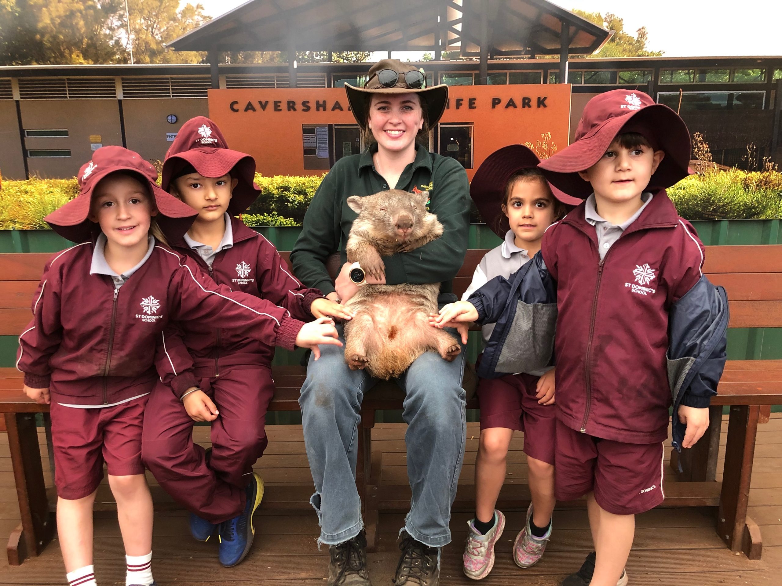 PP, Year 1 and Year 6 Excursion Wrap up