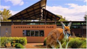 Pre Primary, Year 1 and Year 6 Excursion to Caversham Wildlife Park