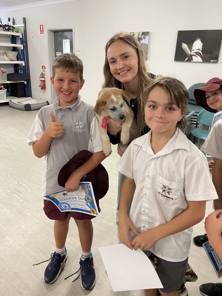 Year 4 Dog Refuge Excursion Wrap up