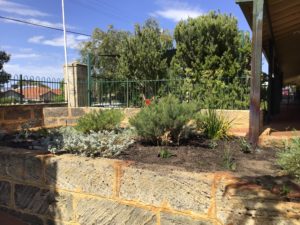 Bird Friendly Garden Project