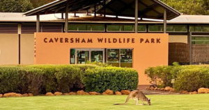 Pre-Primary and Year 2/3 Excursion to Caversham Wildlife Park - Monday 22nd May