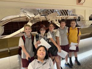 Year 5 Excursion to the Perth Cultural Centre, State Library and Museum Boola Bardip Wrap up