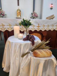 2023 Professional First Eucharist Photos Now Available