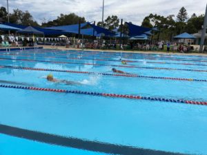 2024 Year 3-6 Faction Swimming Carnival Information and Event Nomination Form