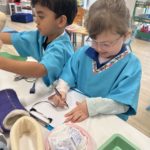 Association for the Welfare of Children in Hospital Kindy Incursion Wrap Up