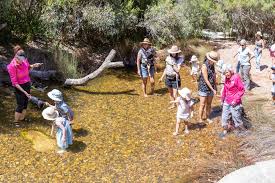 Year 1 Excursion to Kings Park - Thursday 11th September