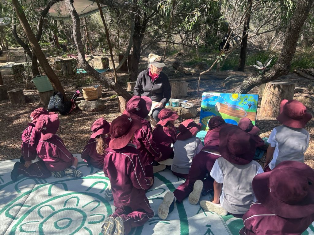 Year 1 Rio Tinto Naturescape Kings Park Excursion Wrap Up