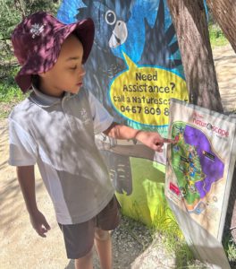 Year 1 Rio Tinto Naturescape Kings Park Excursion Wrap Up