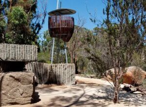 Year 1 and 4 Excursion to Kings Park - Tuesday 12th May